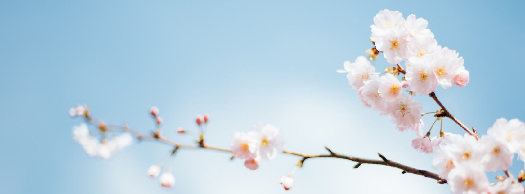 富极